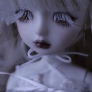 Meet your Posher, Xio